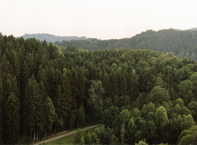 Bernhard Fuchs, Haslach, Sommer 2012