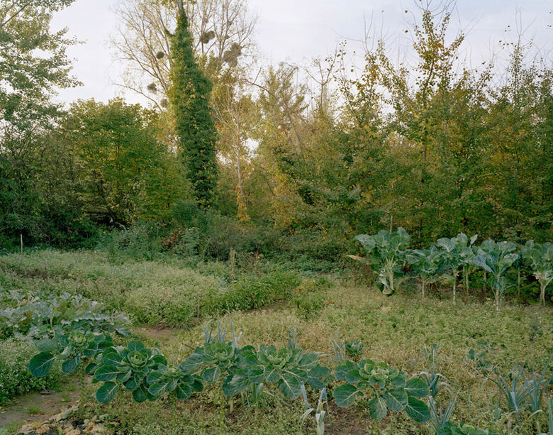 Grabeland in Poigny-la-Forêt, Yvelines, 2005